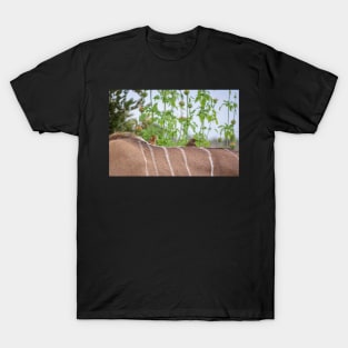 Hitching a Ride T-Shirt